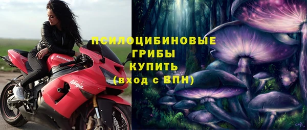 MDMA Premium VHQ Богородицк