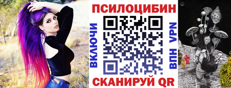 кракен ссылки  Верхотурье  Галлюциногенные грибы Cubensis 